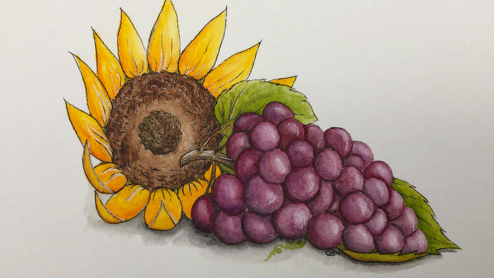 Sunflower and Grapes Watercolor